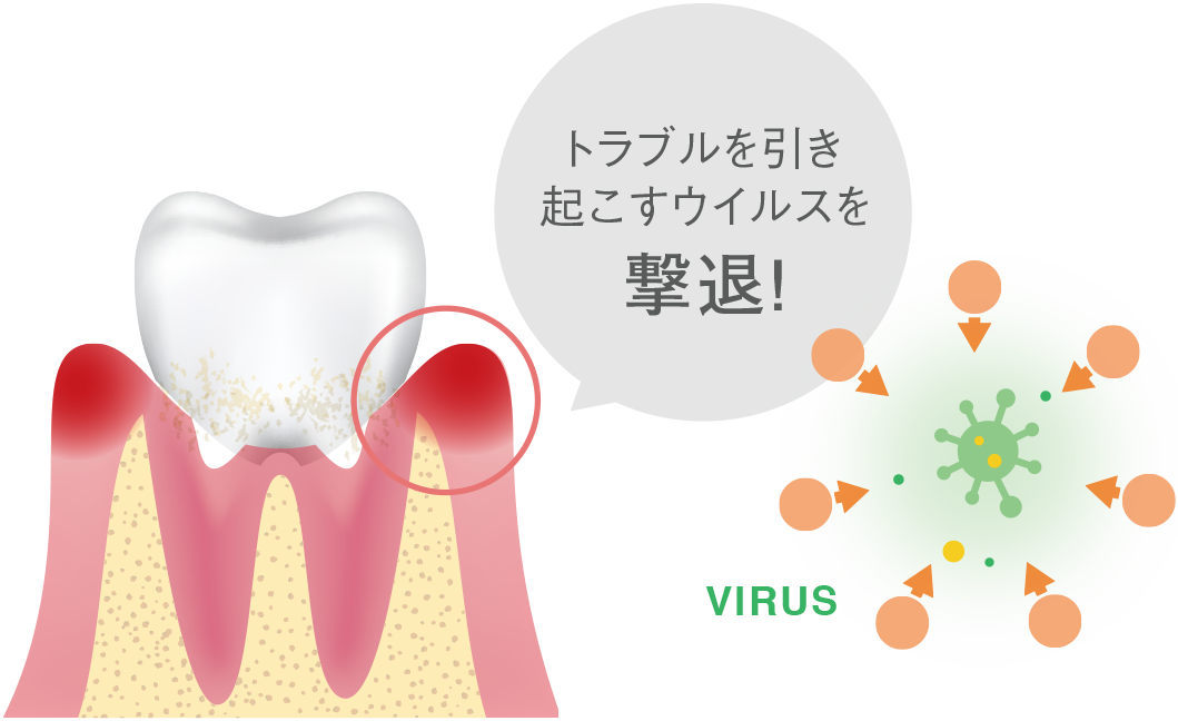 ウイルスの毒素を取り除き細胞活性で再生力を高める