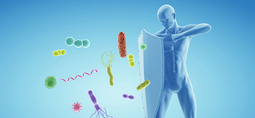 ウイルス感染の免疫力向上