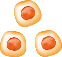 「免疫細胞療法」